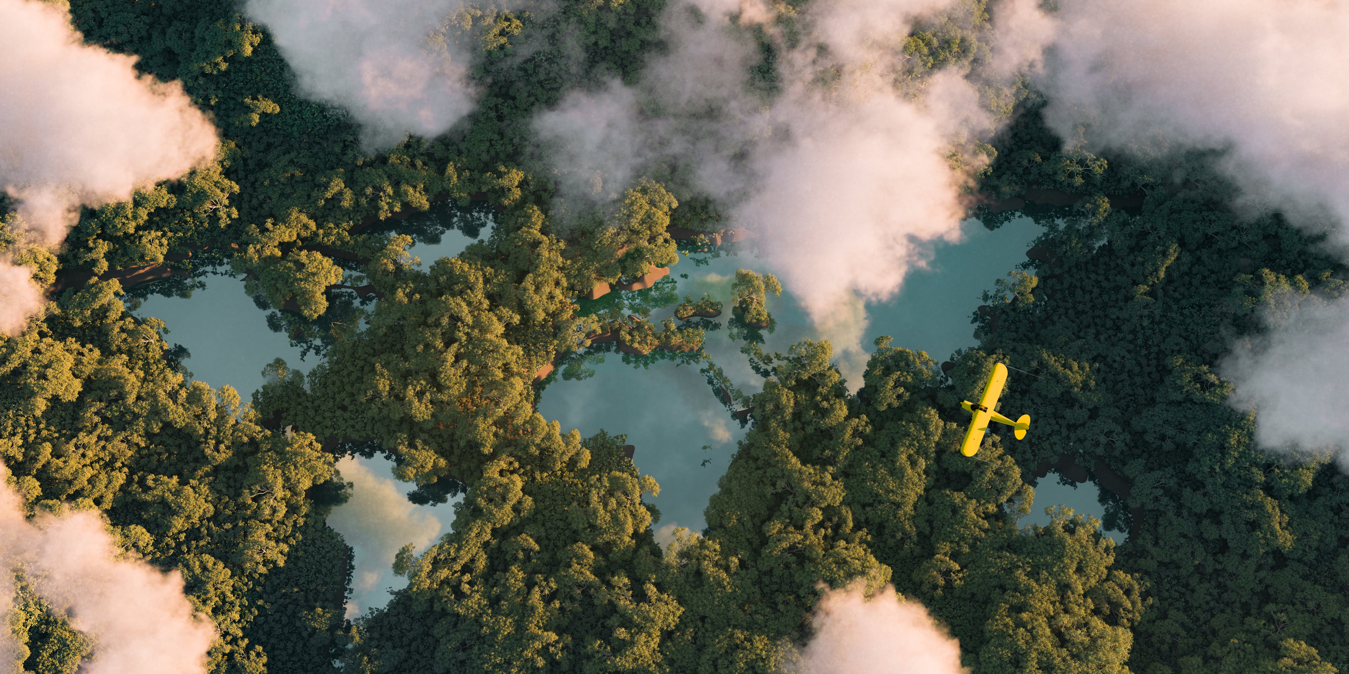 aerial view of a dense rainforest