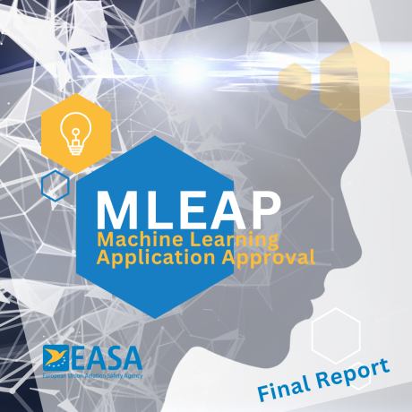 MLEAP final report